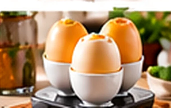 Egg Boilers category photography
